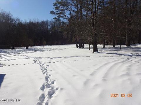 914 E Jackson St, White Cloud, MI 49349 photo 20