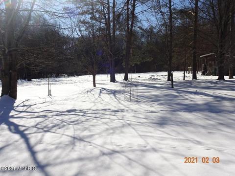 914 E Jackson St, White Cloud, MI 49349 photo 19