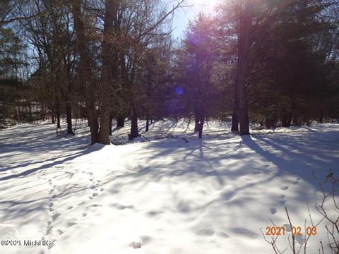914 E Jackson St, White Cloud, MI 49349 photo 21