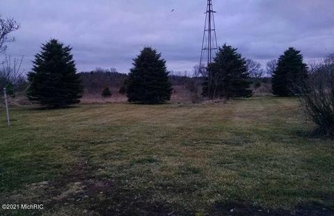 3190 Fleck Rd NE, Edmore, MI 48829 photo 21