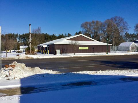100 E Mesick Ave, Mesick, MI 49668 photo 6