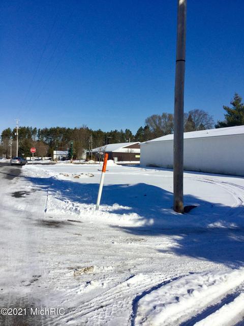 100 E Mesick Ave, Mesick, MI 49668