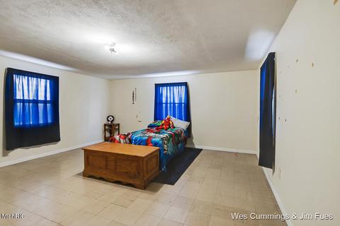 5544 Whites Bridge Rd, Belding, MI 48809 photo 20