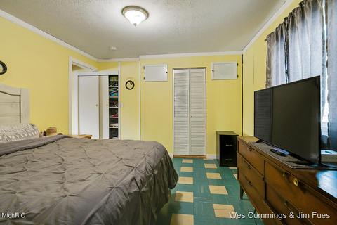 5544 Whites Bridge Rd, Belding, MI 48809 photo 17