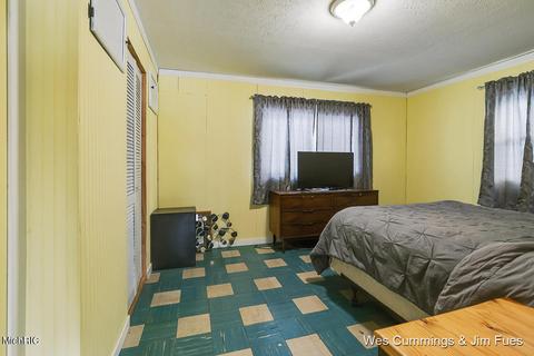 5544 Whites Bridge Rd, Belding, MI 48809 photo 16