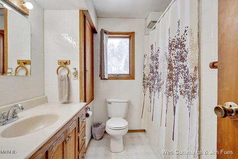 5544 Whites Bridge Rd, Belding, MI 48809 photo 23