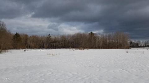 2975 Keith Rd, Brethren, MI 49619 photo 4