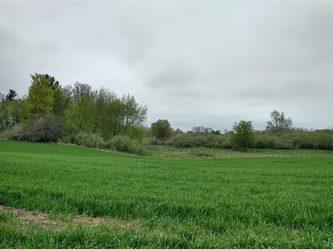3454 S Custer Rd, Custer, MI 49405 photo 22