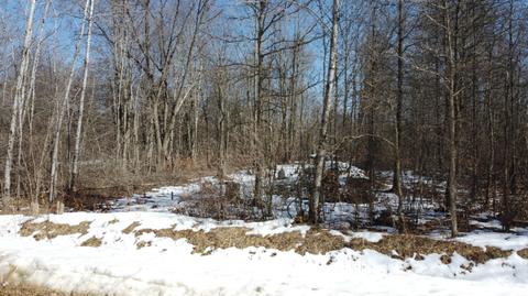 54 Th St, Pullman, MI 49450 photo 11