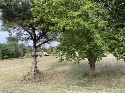 17429 4th St, Arcadia, MI 49613 photo 7