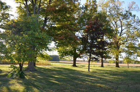 51585 Correll Rd, Leonidas, MI 49066 photo 7