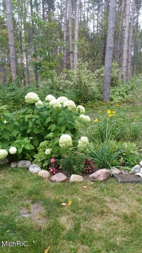 2198 E 24 Rd, Cadillac, MI 49601 photo 22