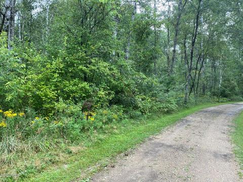 741 E Kinney, Baldwin, MI 49304 photo 70