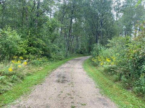 741 E Kinney, Baldwin, MI 49304 photo 68