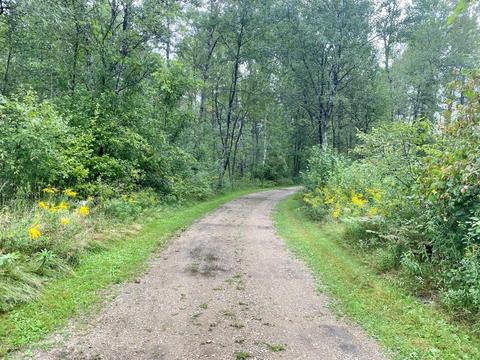 741 E Kinney, Baldwin, MI 49304 photo 130