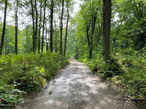 741 E Kinney, Baldwin, MI 49304 photo 20