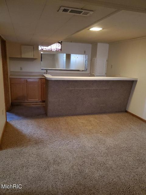 821 Park St, Belding, MI 48809 photo 20