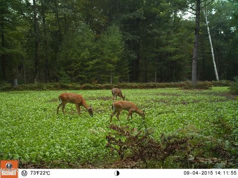 2192 E 40th St, White Cloud, MI 49349 photo 52