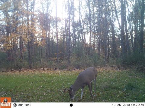 2192 E 40th St, White Cloud, MI 49349 photo 68