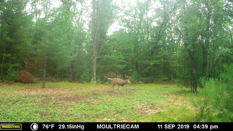 2192 E 40th St, White Cloud, MI 49349 photo 69
