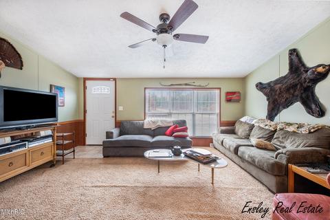 2192 E 40th St, White Cloud, MI 49349 photo 7