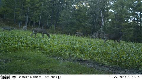 2192 E 40th St, White Cloud, MI 49349 photo 54