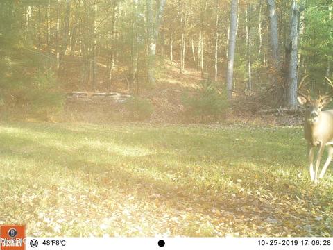 2192 E 40th St, White Cloud, MI 49349 photo 66