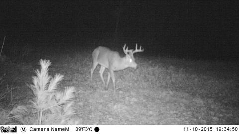 2192 E 40th St, White Cloud, MI 49349 photo 62