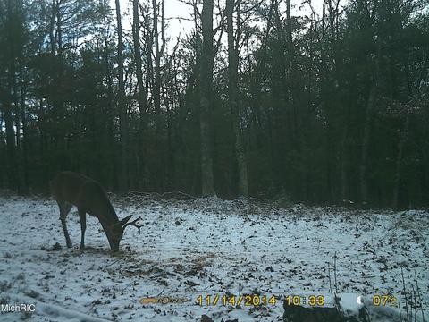 2192 E 40th St, White Cloud, MI 49349 photo 61