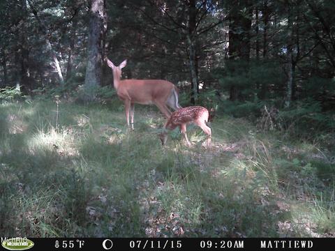 2192 E 40th St, White Cloud, MI 49349 photo 48