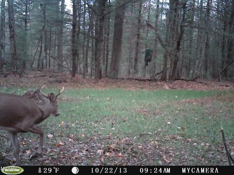 2192 E 40th St, White Cloud, MI 49349 photo 59