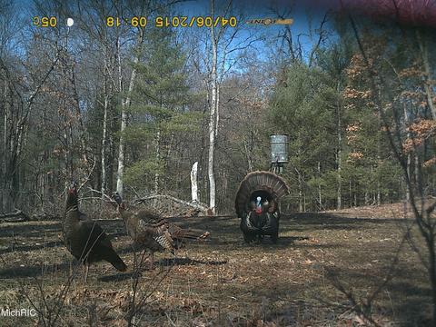 2192 E 40th St, White Cloud, MI 49349 photo 36
