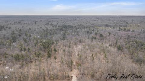 2192 E 40th St, White Cloud, MI 49349 photo 32