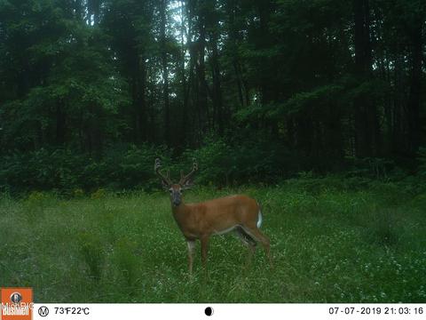 2192 E 40th St, White Cloud, MI 49349 photo 47