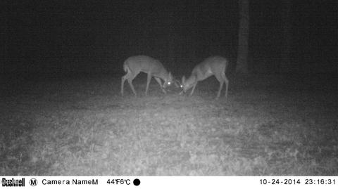 2192 E 40th St, White Cloud, MI 49349 photo 58
