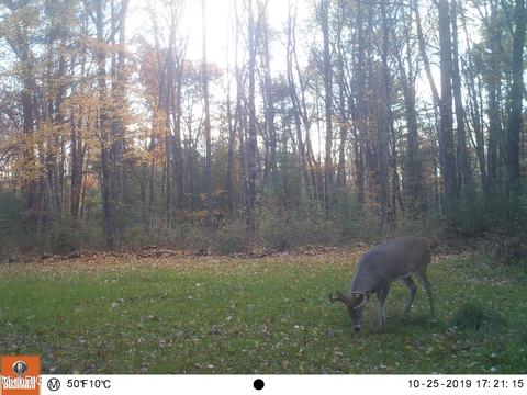 2192 E 40th St, White Cloud, MI 49349 photo 67