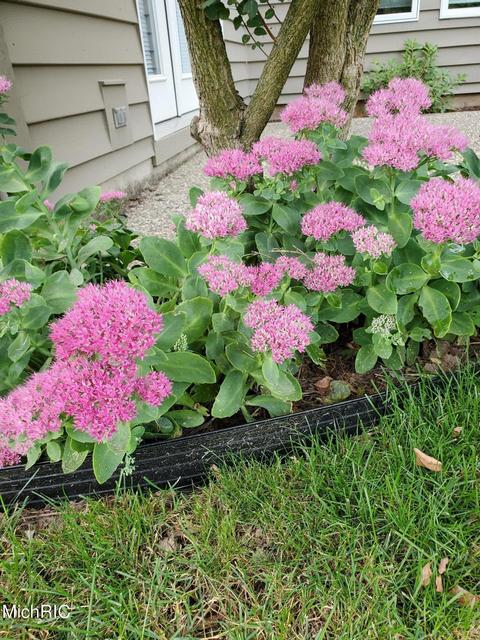 2178 Winding Oak Trl NE, Ada, MI 49301 photo 50