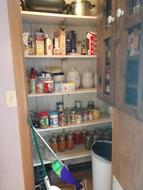 3030 Oak Dr SW, Stanton, MI 48888 photo 5