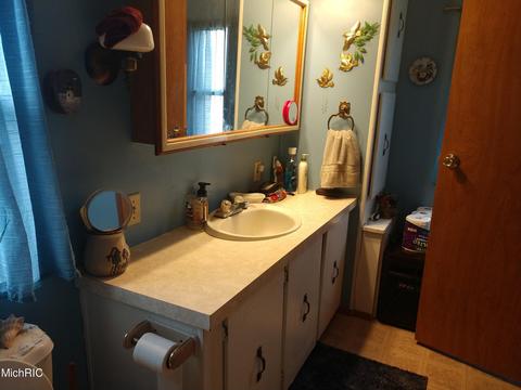 3030 Oak Dr SW, Stanton, MI 48888 photo 11