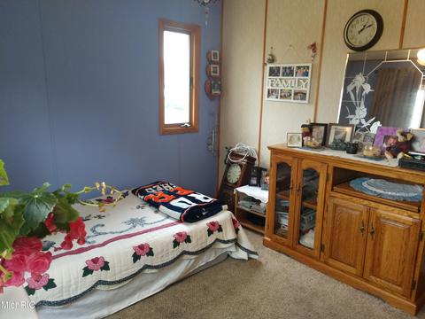3030 Oak Dr SW, Stanton, MI 48888 photo 12