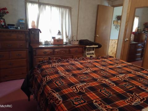 3030 Oak Dr SW, Stanton, MI 48888 photo 9