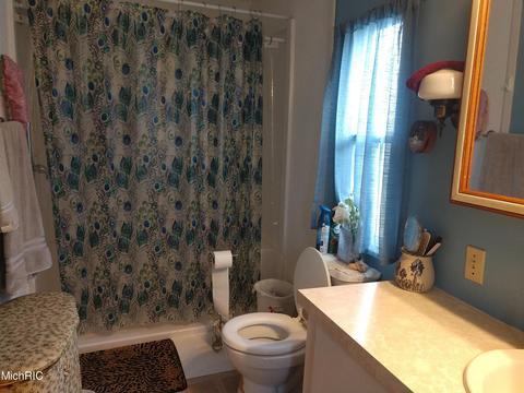 3030 Oak Dr SW, Stanton, MI 48888 photo 10