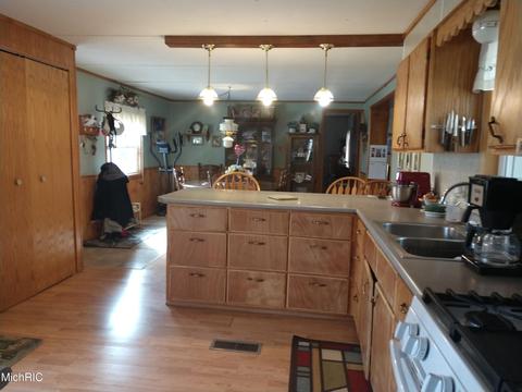 3030 Oak Dr SW, Stanton, MI 48888 photo 4
