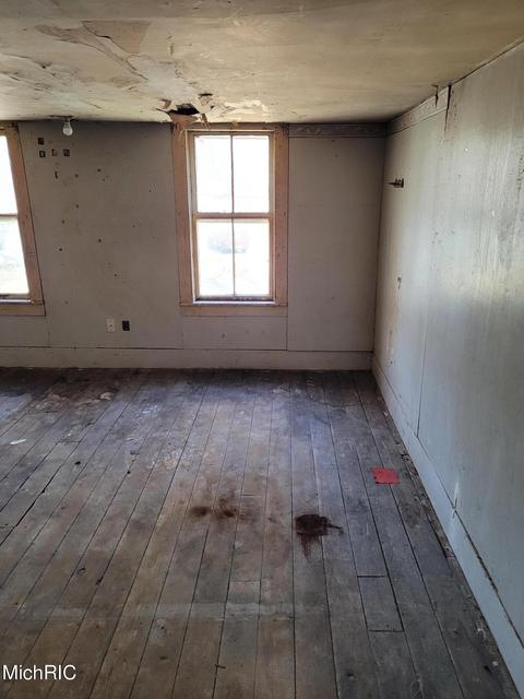 427 E Catherine St, Bellevue, MI 49021 photo 30