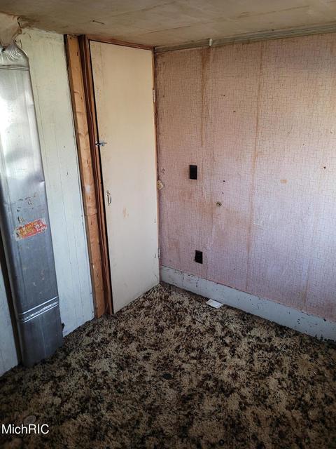 427 E Catherine St, Bellevue, MI 49021 photo 27
