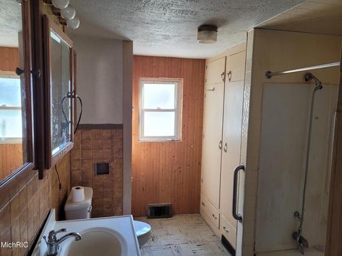 427 E Catherine St, Bellevue, MI 49021 photo 13