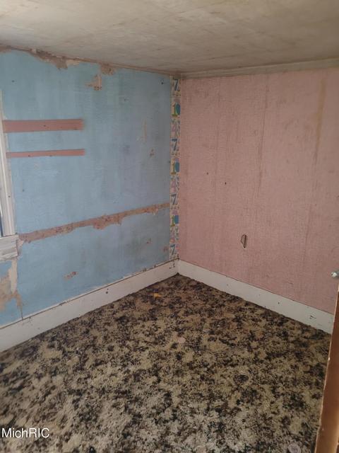 427 E Catherine St, Bellevue, MI 49021 photo 26