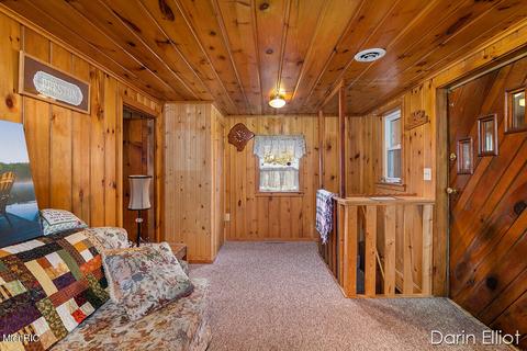 877 E Sidney Rd, Stanton, MI 48888 photo 9