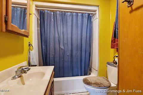 304 Vincent St, Belding, MI 48809 photo 14