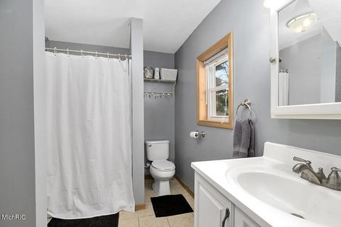 203 W Pine St, Edmore, MI 48829 photo 15